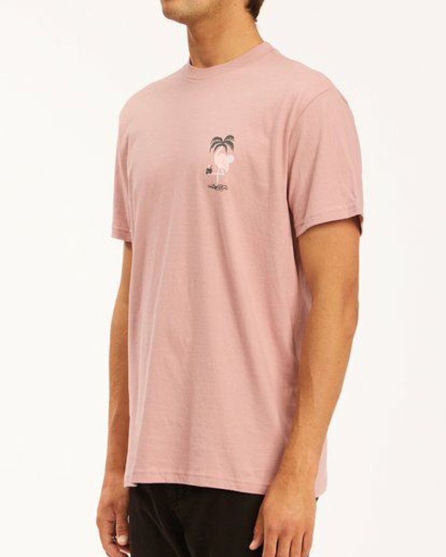 Tees * | Billabong Paradise Lost Short Sleeve T-Shirt Dusty Pink Dusty Pink (Dtp)